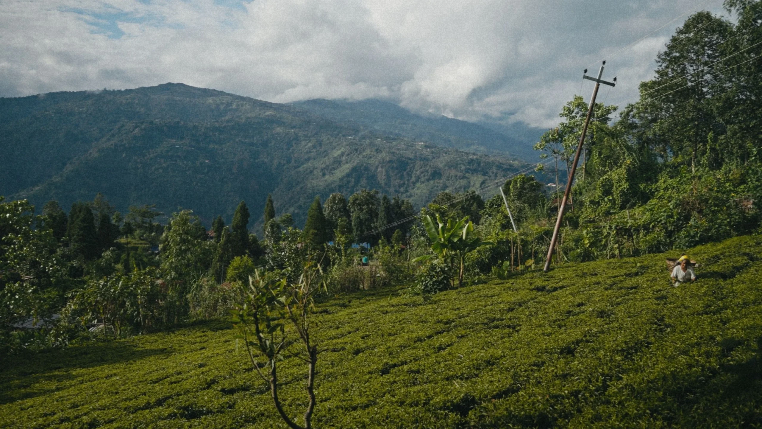 6 YBgeZ3DXePS0ve2z scaled