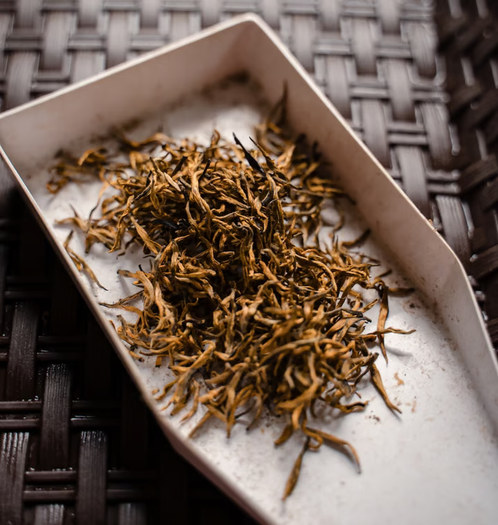 dsc00257 mjE7P0LjNatPvKyN