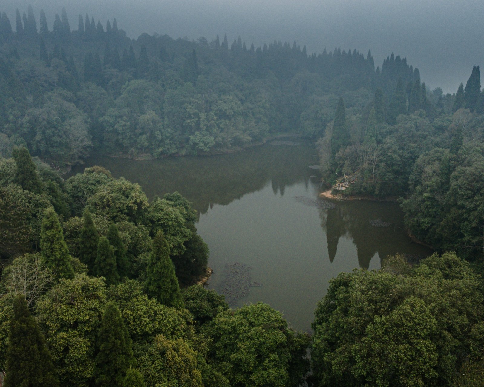 Plantacja Mai Pokhari w Ilam, Nepal — oolong z 1700 m n.p.m.