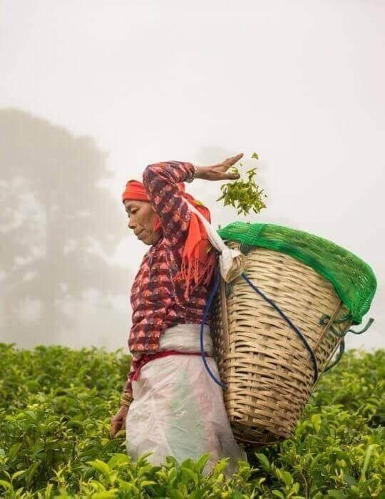 hzn-photo-3-r8qmou2xzgqepe8o37vy4wip2ayvp3myw7u3zsjuqg